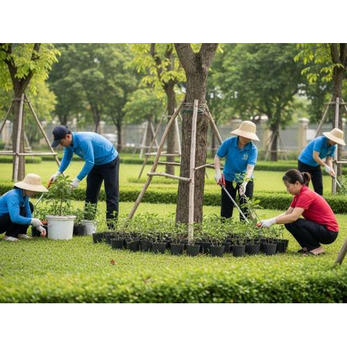 2. Dịch vụ trồng, chăm sóc và bảo dưỡng cây xanh