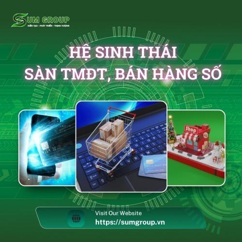 Sàn Thương Mại Điện Tử, Kênh Bán Hàng Số, Cửa Hàng Số