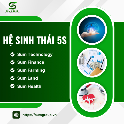 Hệ Sinh Thái 5S