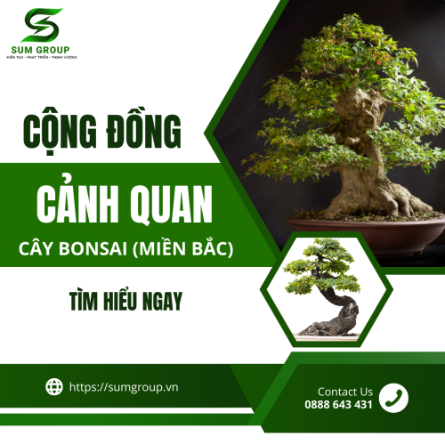 Cộng Đồng Cảnh Quan Cây Bonsai Miền Bắc