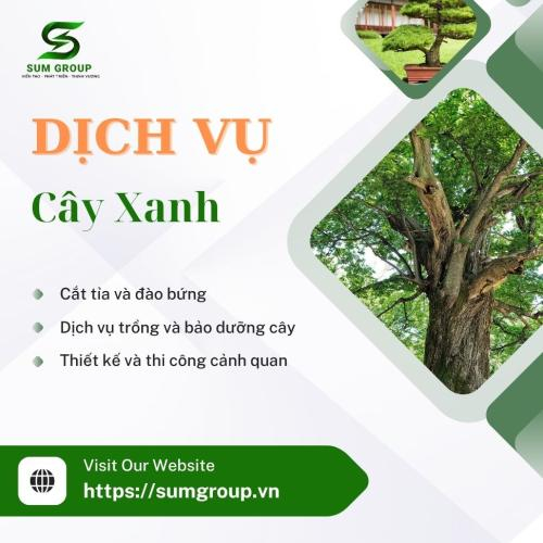 Dịch Vụ Cung Cấp Sản Phẩm Và Dịch Vụ Cây Xanh