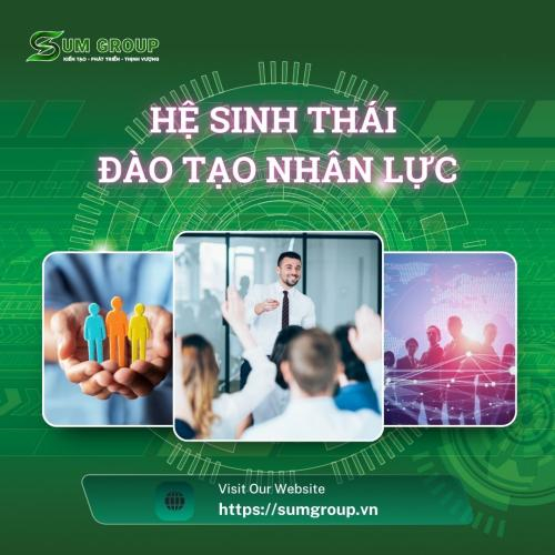 Đào Tạo Nguồn Nhân Lực Phát Triển Kinh Tế Số, Bền Vững