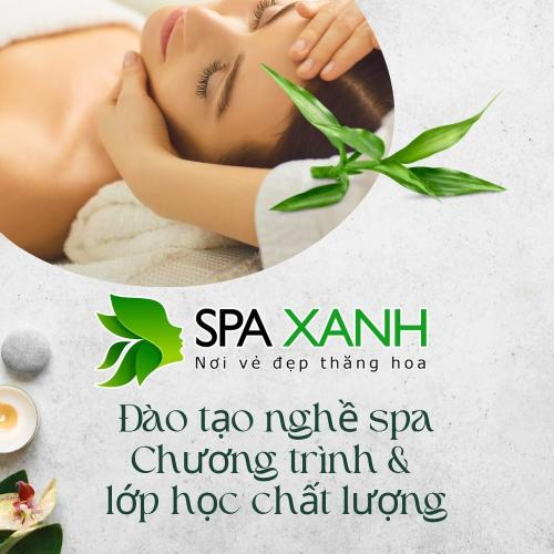 Cộng Đồng Đào Tạo Nghề Spa: Các Giáo Viên Và Huấn Luyện Viên Spa Chia Sẻ