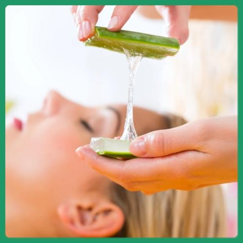 Liệu Trình Phục Hồi Da Bằng Nha Đam Tươi