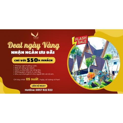 Săn deal ngày vàng cùng Fly Up