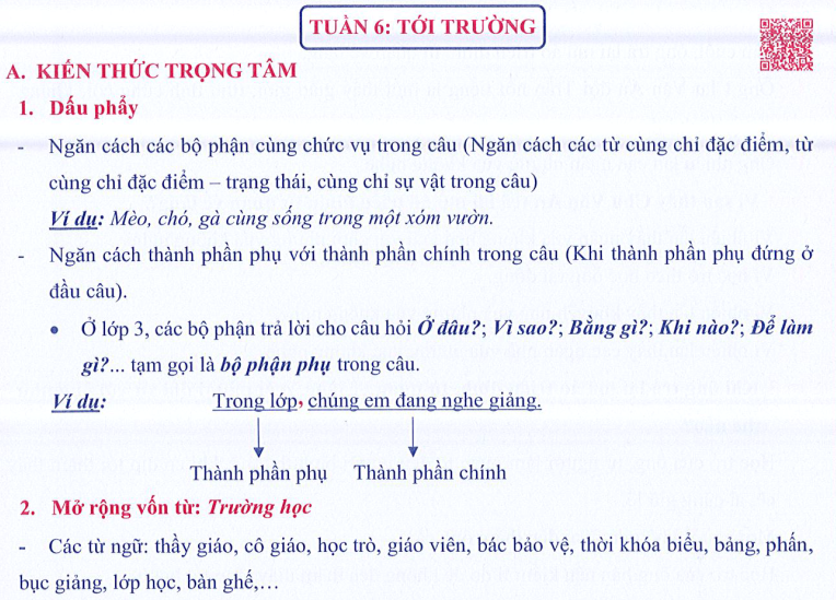 Ôn tập Tuần 6