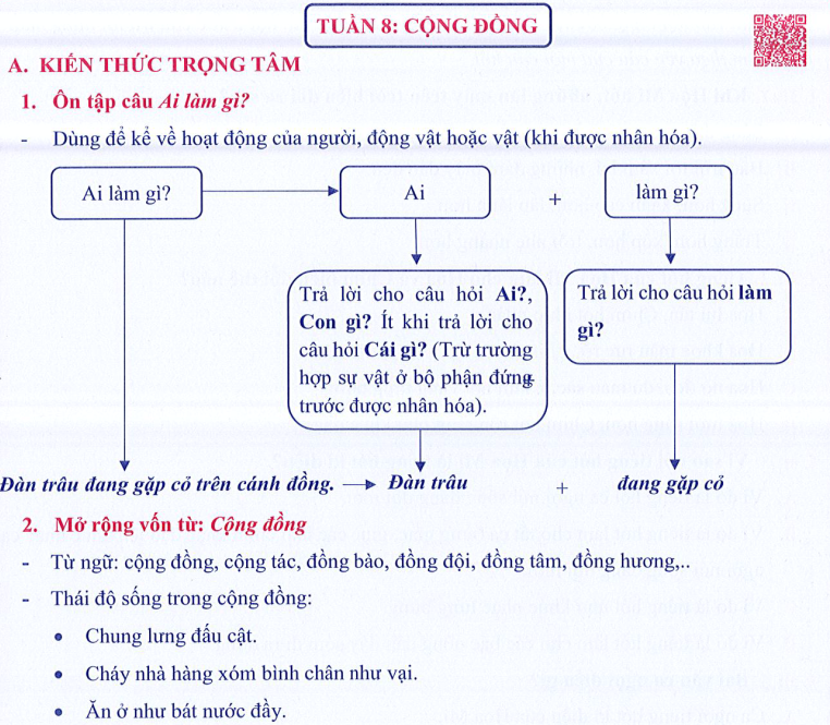 Ôn tập Tuần 8