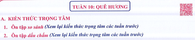 Ôn tập Tuần 10