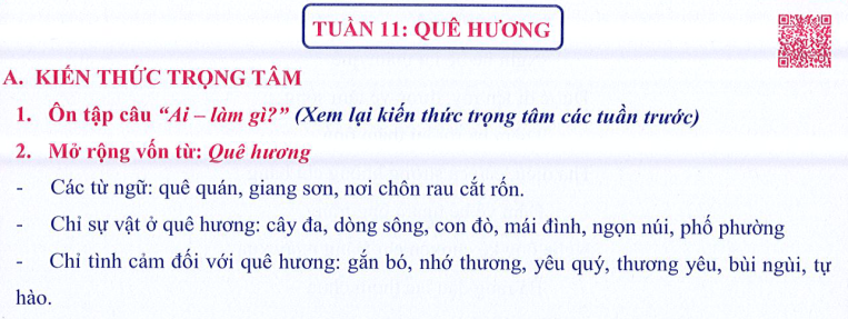 Ôn tập Tuần 11