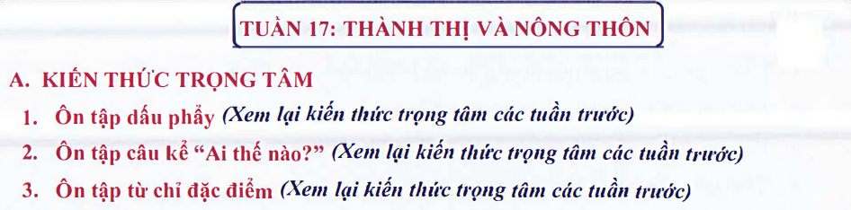 Ôn tập Tuần 17