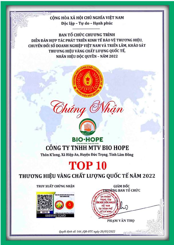 Giấy chứng nhận Top 10 Thương hiệu Vàng