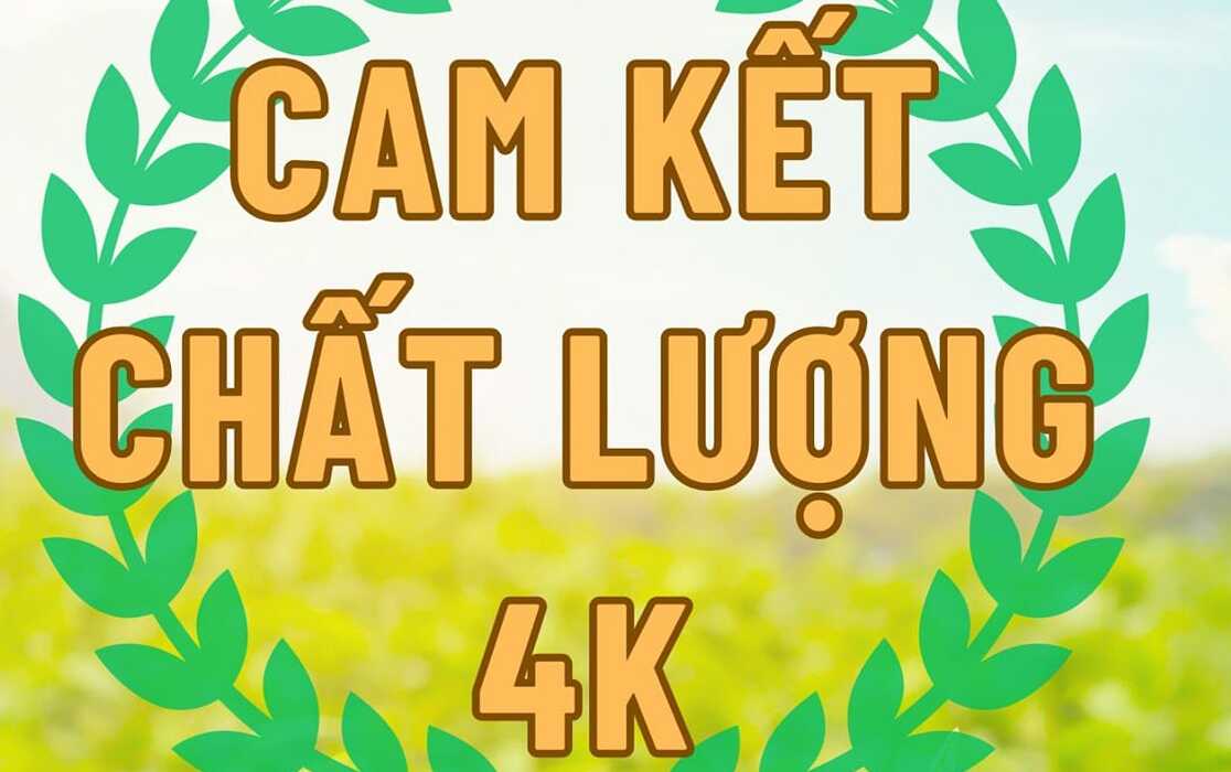 Cam kết chất lượng