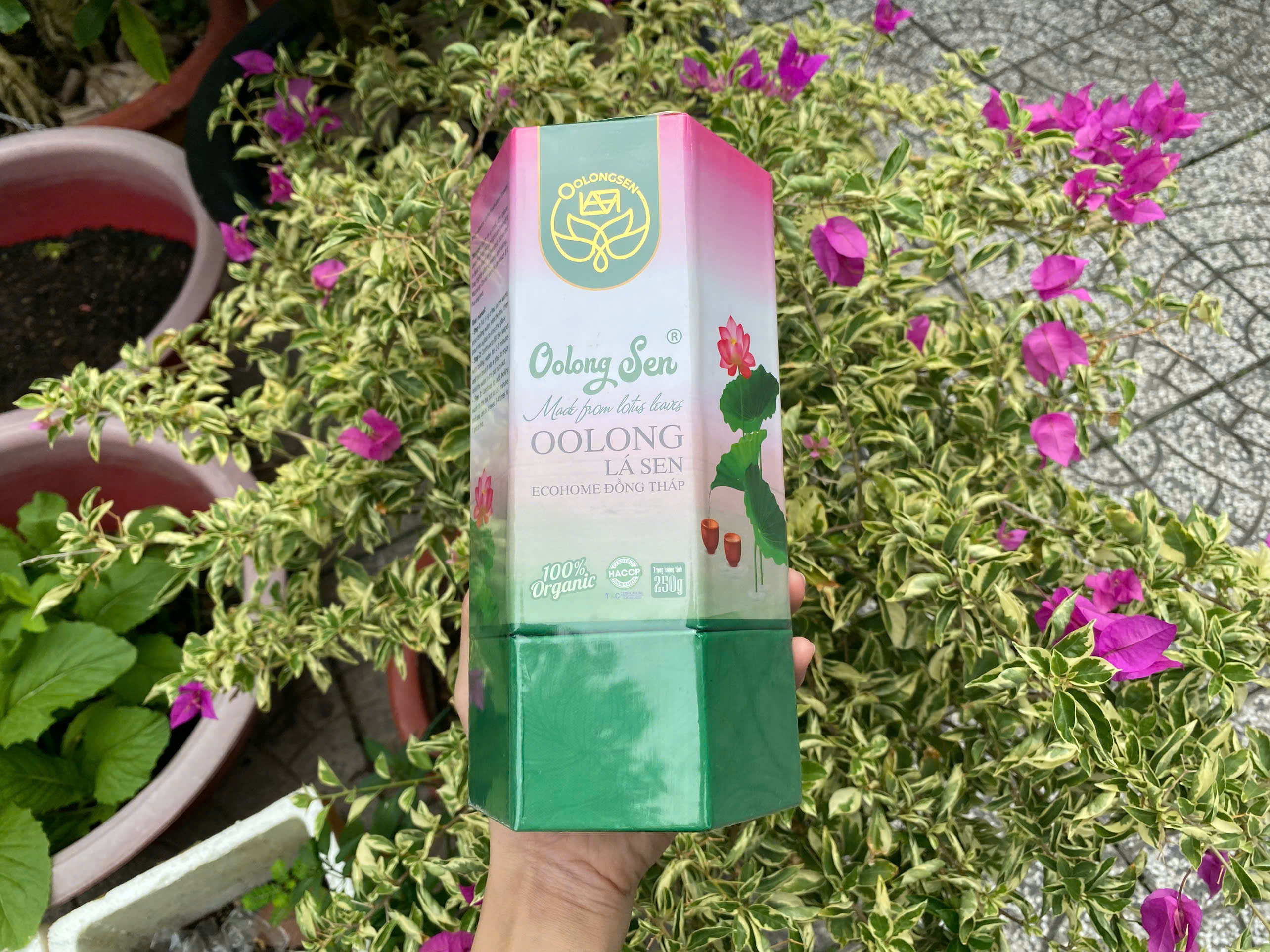 2. Thay thế đồ uống có hại cho sức khỏe