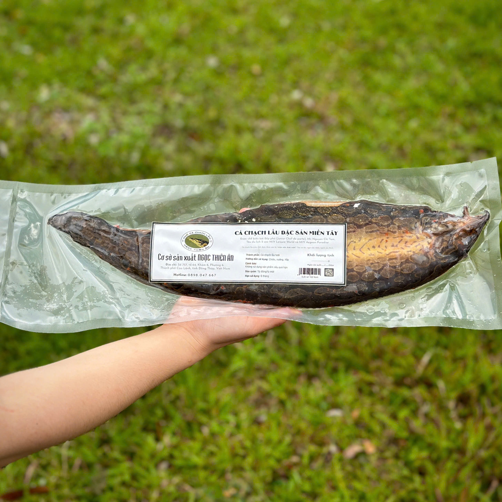 Mẹ bầu ăn cá chạch được không?