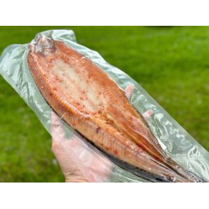 Cung cấp sắt