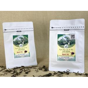 Vì sao trà có khả năng chống lão hóa?
