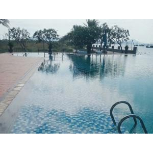 Hồ bơi