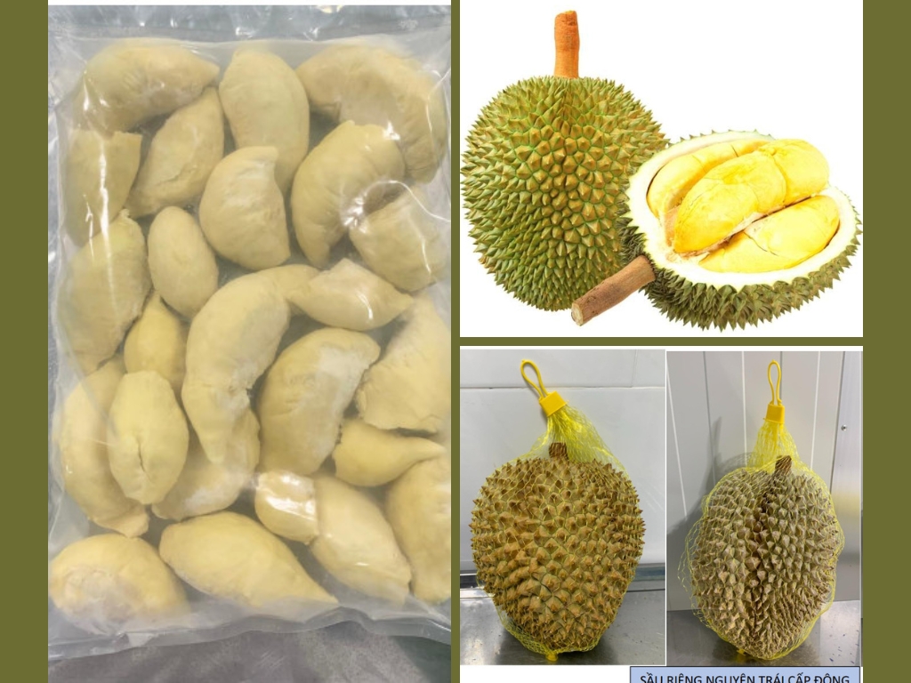 1. Tầm nhìn