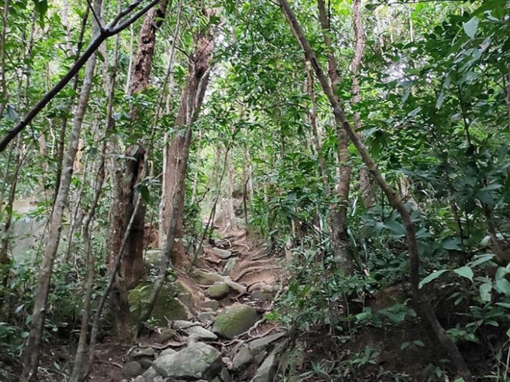 Cung đường Trekking Ma Thiên Lãnh