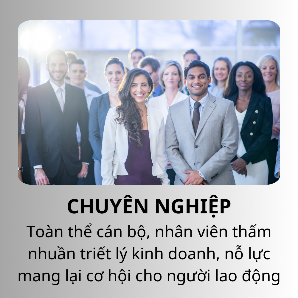 Giá trị mang lại - Chuyên nghiệp