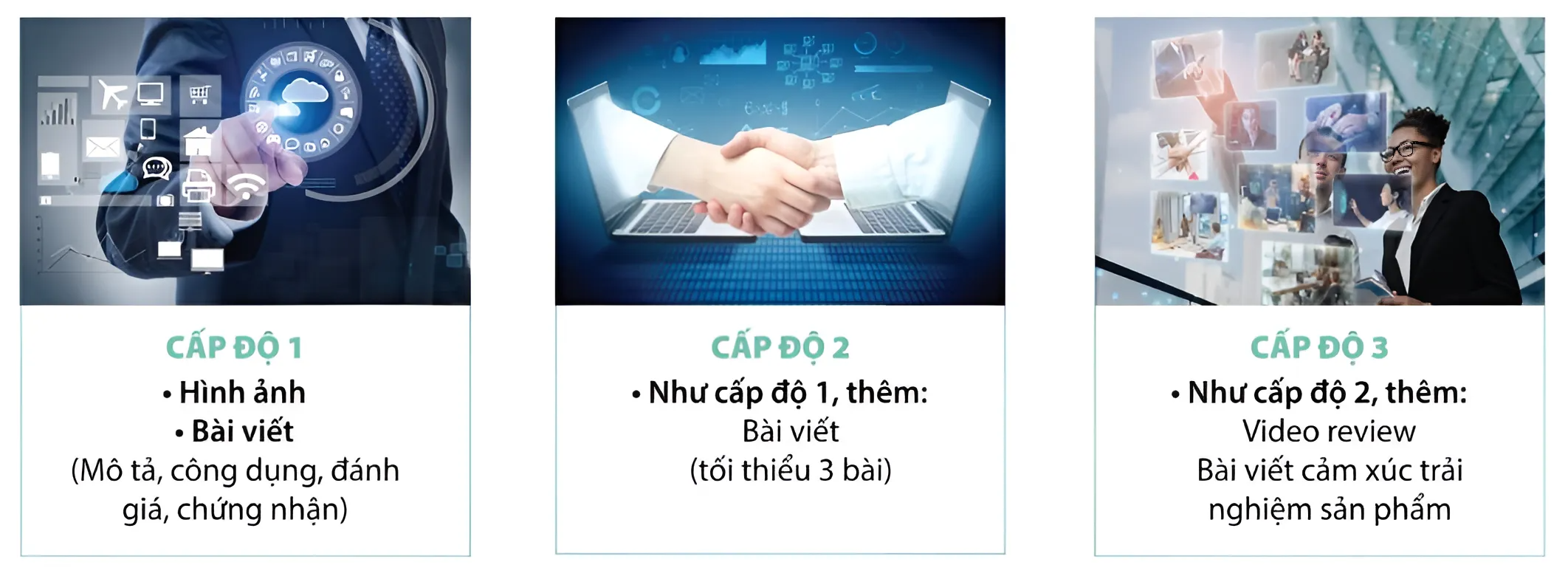 Cấp độ số hóa