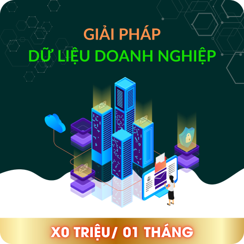 Giải Pháp Dữ Liệu Doanh Nghiệp