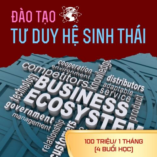 Đào Tạo Tư Duy Hệ Sinh Thái