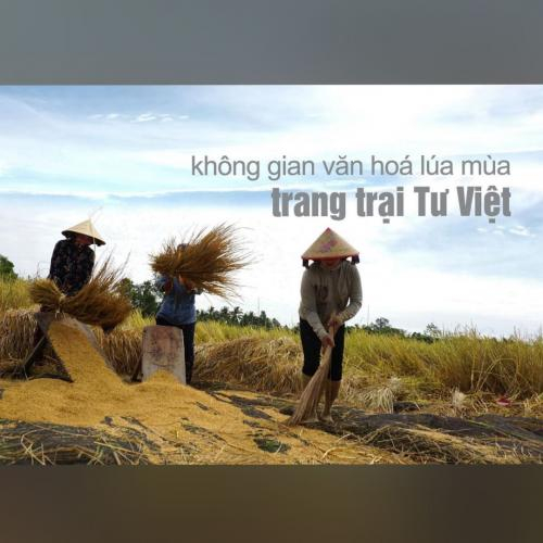 Trang Trại Lúa Mùa Tư Việt