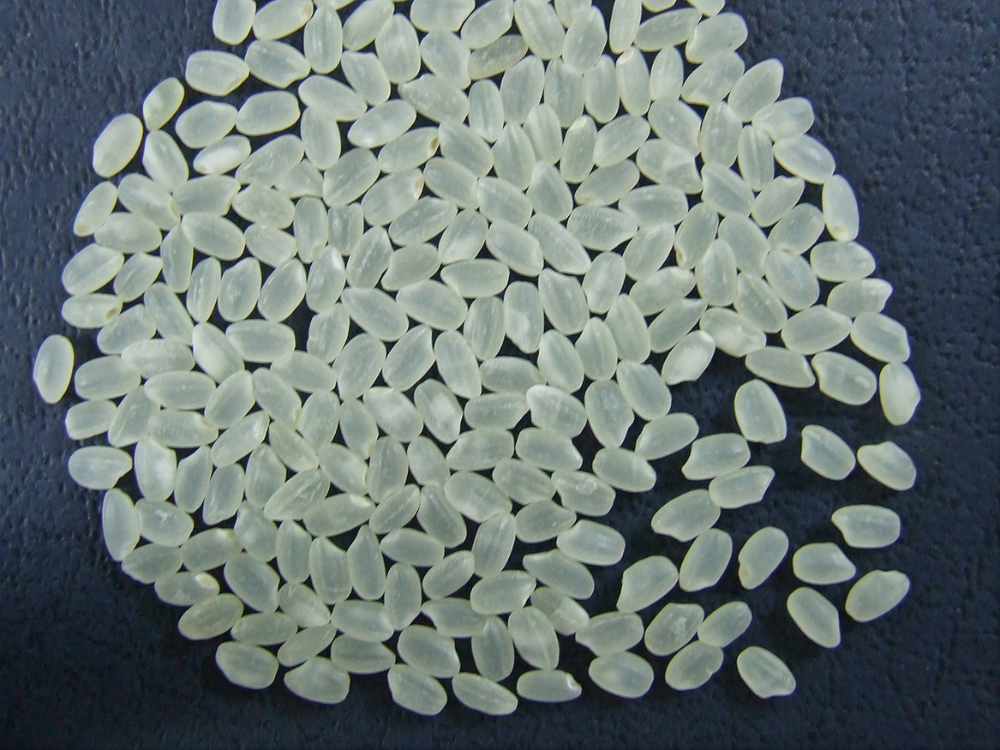 Gạo Japonica