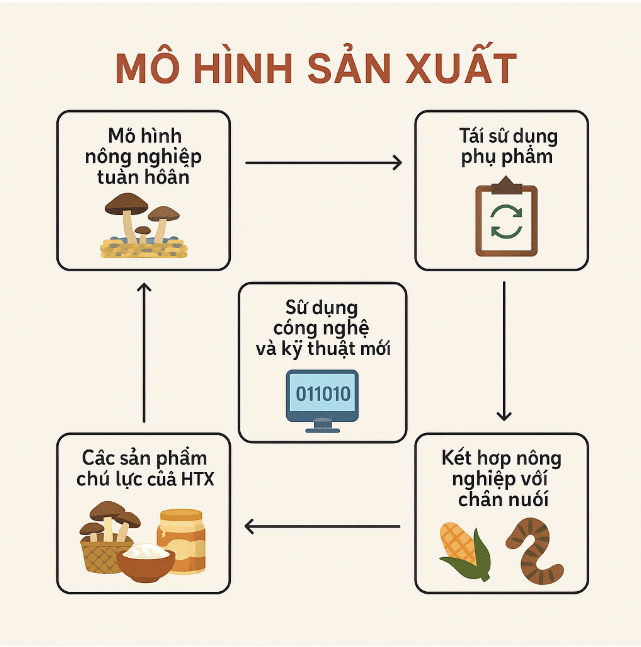 Mô hình sản xuất