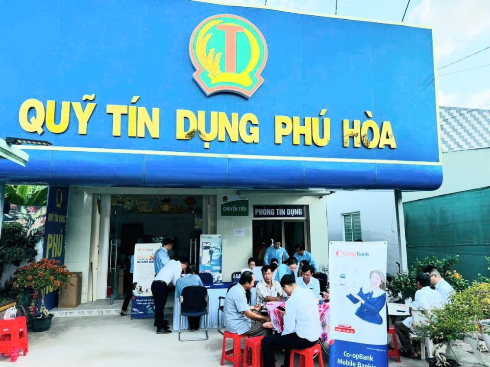 I. Giới thiệu