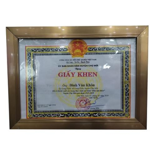 V. Thành tựu của công ty