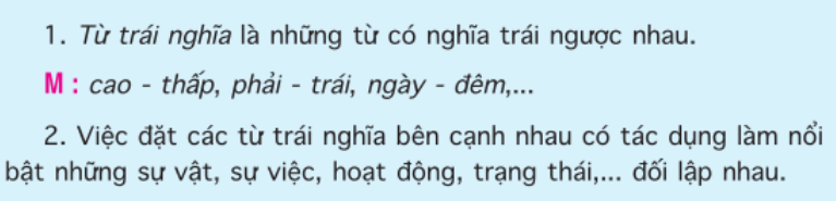 5. Kiến thức Tuần 4