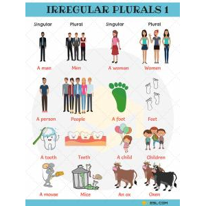 4. Structure: Singular - Plural