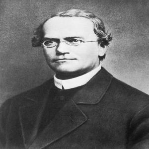 (Danh nhân - Sinh học) Gregor Mendel - Ông tổ ngành di truyền học