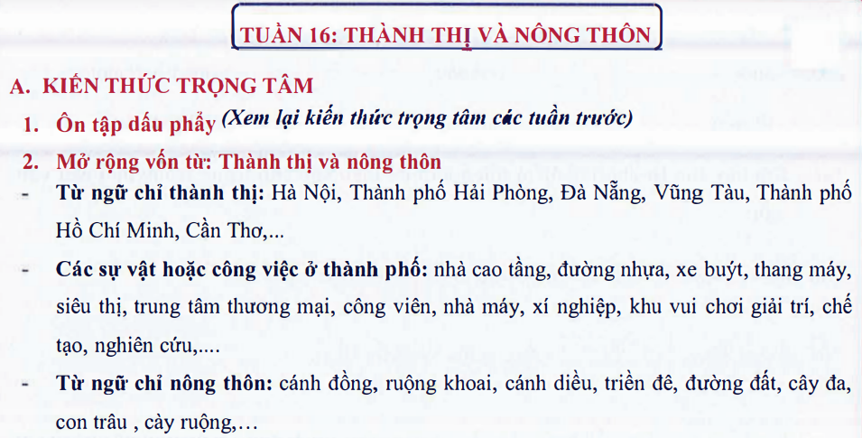 Ôn tập Tuần 16