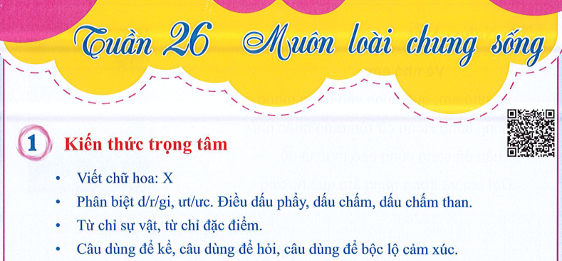 Ôn tập Tuần 26