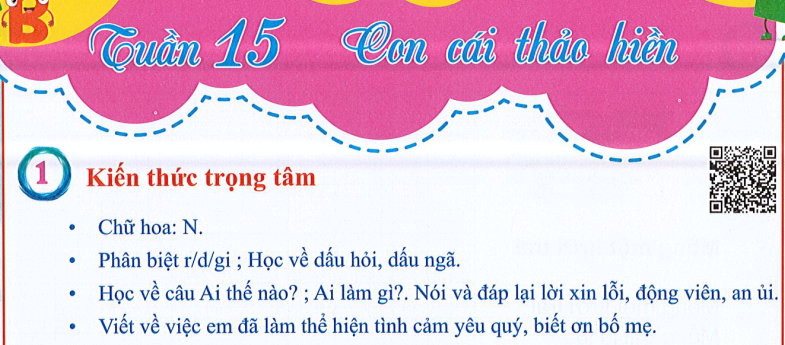 Ôn tập Tuần 15