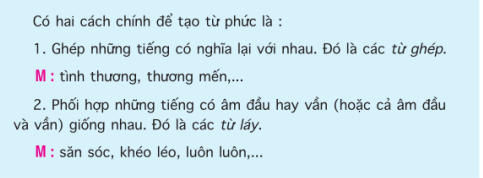 5. Kiến thức Tuần 4