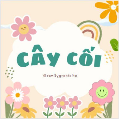 Bài 4: Cây cối