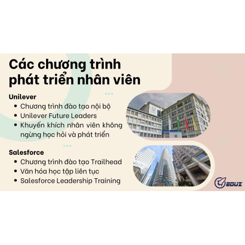 4. Vận dụng thực tiễn