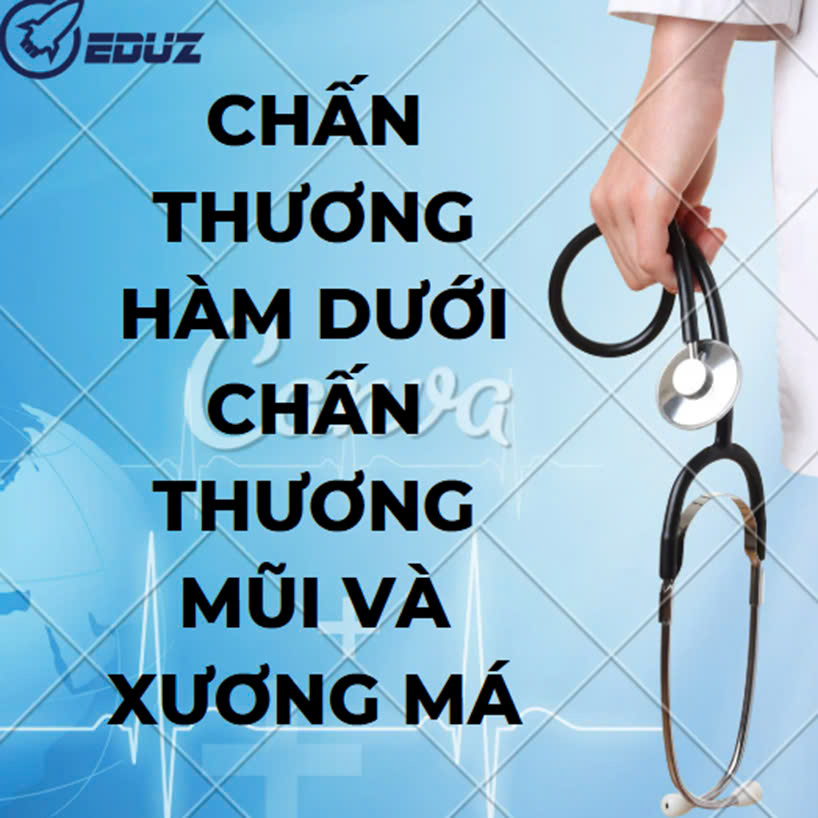 Chấn Thương Hàm Dưới, Mũi và Xương Má: Triệu Chứng, Nguyên Nhân Và Cách Xứ Lý Hiệu Quả