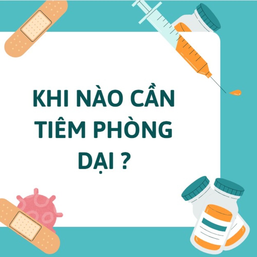 3 Phút Sơ Cứu: Khi Nào Cần Tiêm Phòng Dại