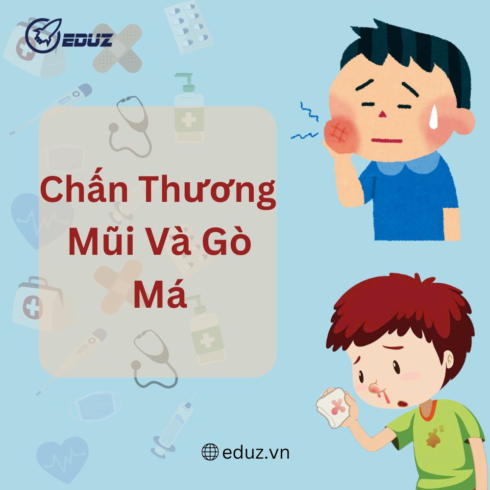 Sơ Cứu Ban Đầu Cho Trẻ Sơ Sinh Và Trẻ Em: Chấn Thương Mũi Và Gò Má