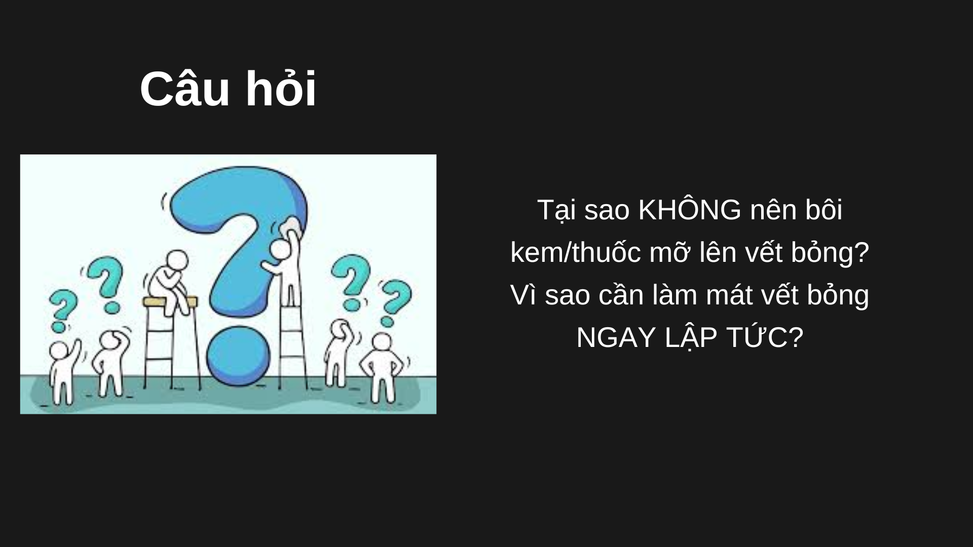 5.Câu hỏi:
