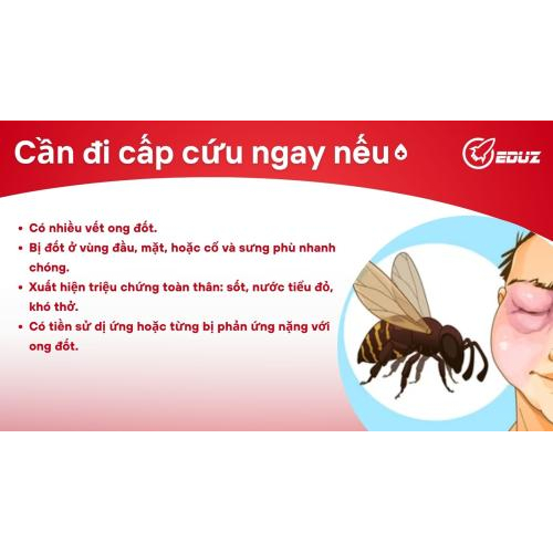 4. Khi Nào Cần Đến Bệnh Viện?