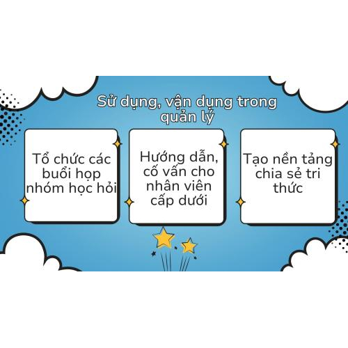 4. Sử dụng, vận dụng trong quản lý