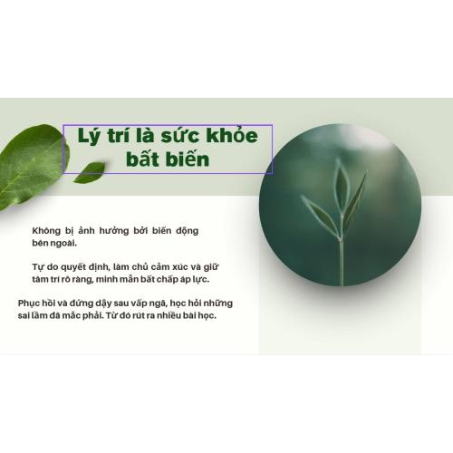 2. Lý trí là sức khỏe bất biến