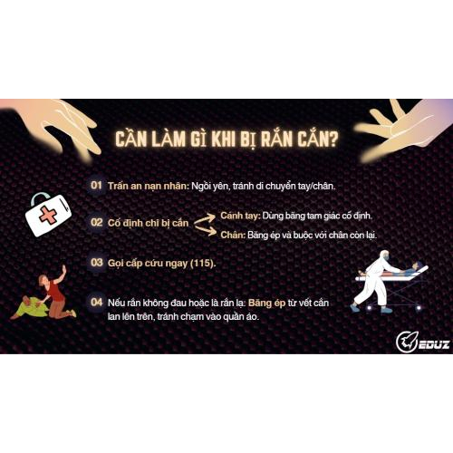 3. Cần Làm Gì Khi Bị Rắn Cắn