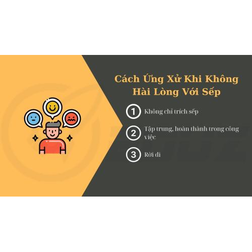 3. Cách Ứng Xử Khi Không Hài Lòng Với Sếp